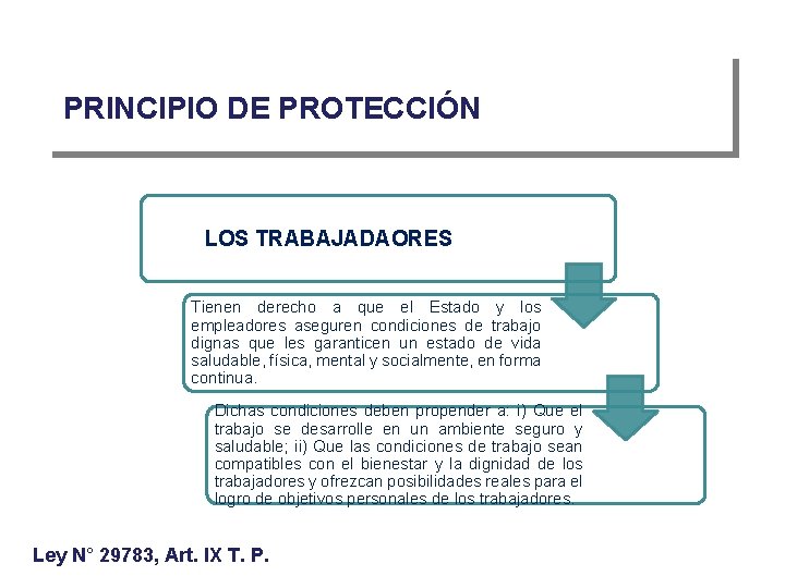 PRINCIPIO DE PROTECCIÓN LOS TRABAJADAORES Tienen derecho a que el Estado y los empleadores