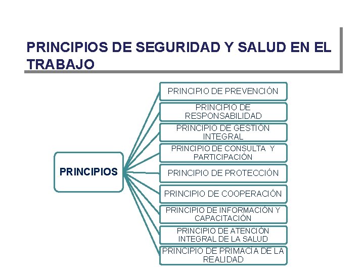 PRINCIPIOS DE SEGURIDAD Y SALUD EN EL TRABAJO PRINCIPIO DE PREVENCIÓN PRINCIPIO DE RESPONSABILIDAD