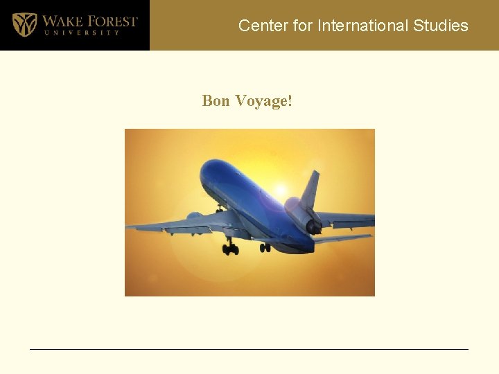 Center for International Studies Bon Voyage! 