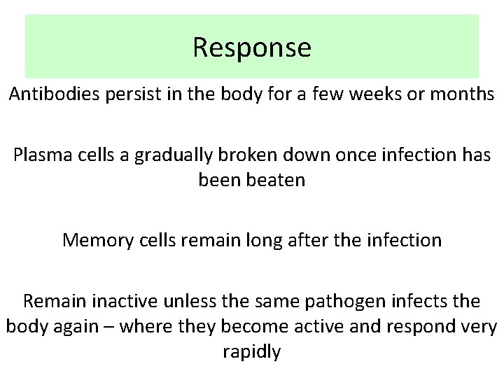 Response Antibodies persist in the body for a few weeks or months Plasma cells