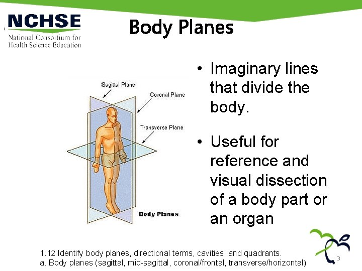 Body Planes • Imaginary lines that divide the body. • Useful for reference and