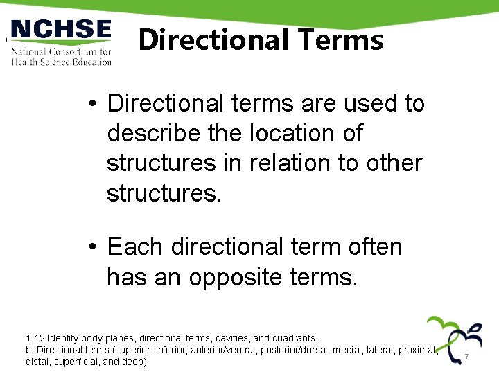 Directional Terms • Directional terms are used to describe the location of structures in