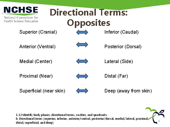Directional Terms: Opposites Superior (Cranial) Inferior (Caudal) Anterior (Ventral) Posterior (Dorsal) Medial (Center) Lateral