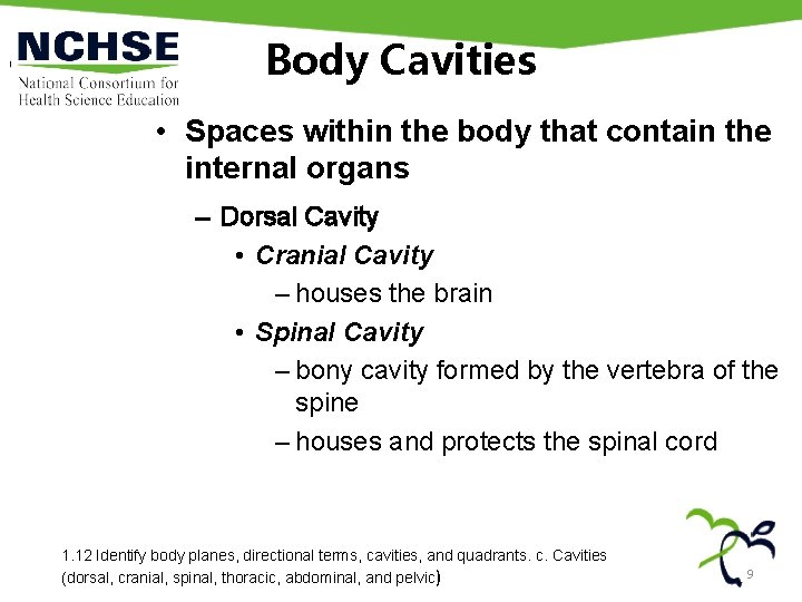 Body Cavities • Spaces within the body that contain the internal organs – Dorsal