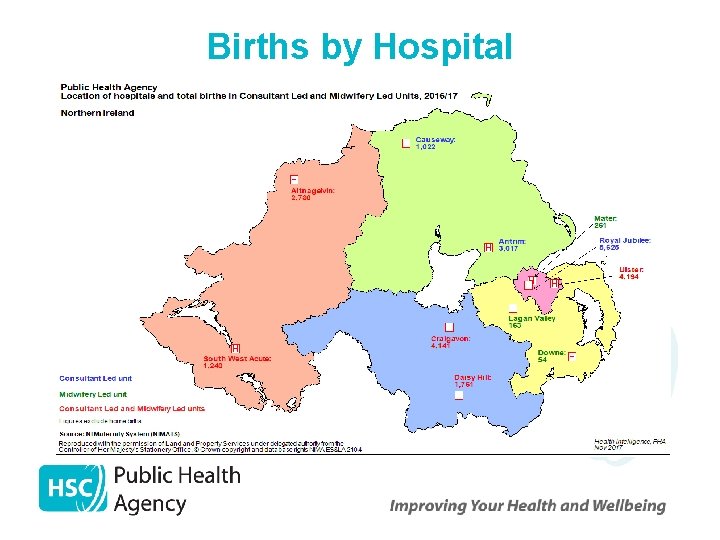 Births by Hospital 