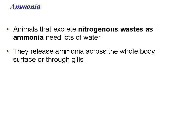 Ammonia • Animals that excrete nitrogenous wastes as ammonia need lots of water •