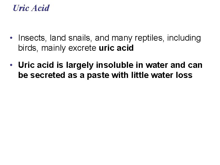 Uric Acid • Insects, land snails, and many reptiles, including birds, mainly excrete uric