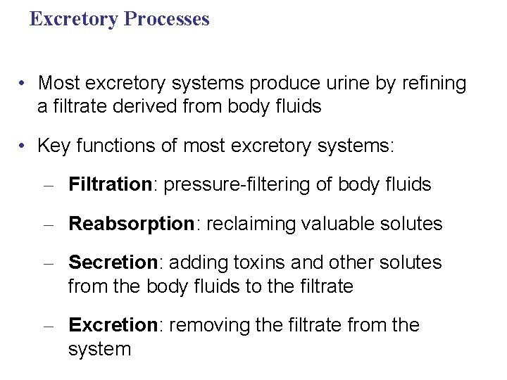 Excretory Processes • Most excretory systems produce urine by refining a filtrate derived from