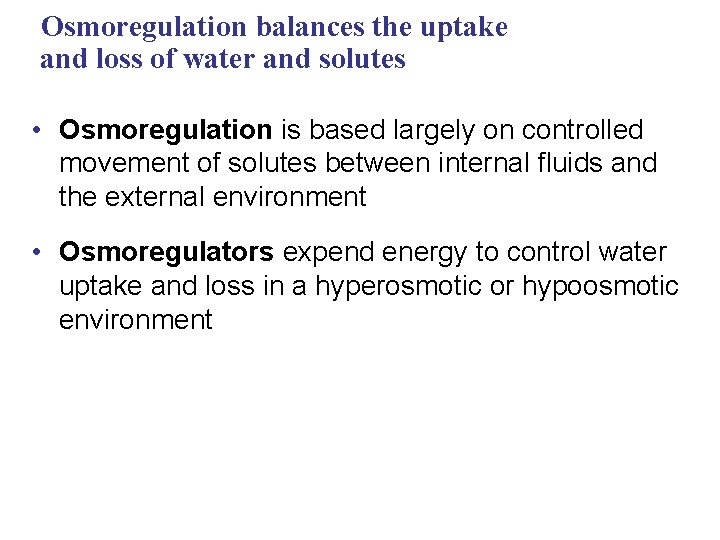 Osmoregulation balances the uptake and loss of water and solutes • Osmoregulation is based