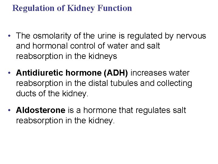 Regulation of Kidney Function • The osmolarity of the urine is regulated by nervous