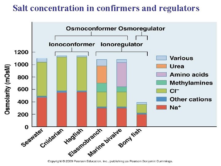 Salt concentration in confirmers and regulators 