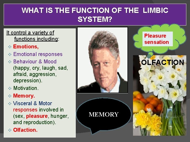 WHAT IS THE FUNCTION OF THE LIMBIC SYSTEM? It control a variety of functions