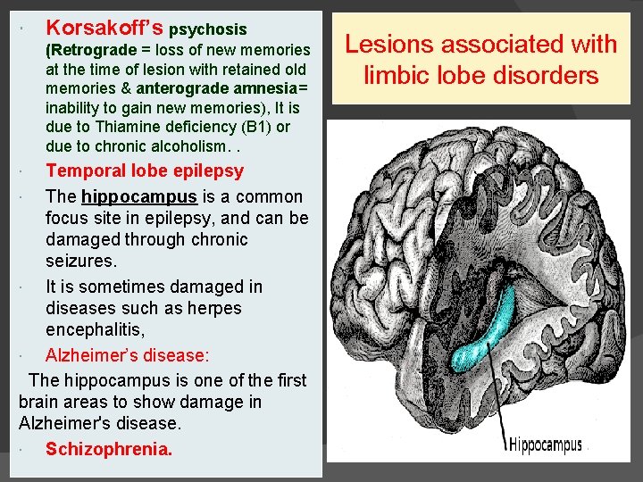  Korsakoff’s psychosis (Retrograde = loss of new memories at the time of lesion