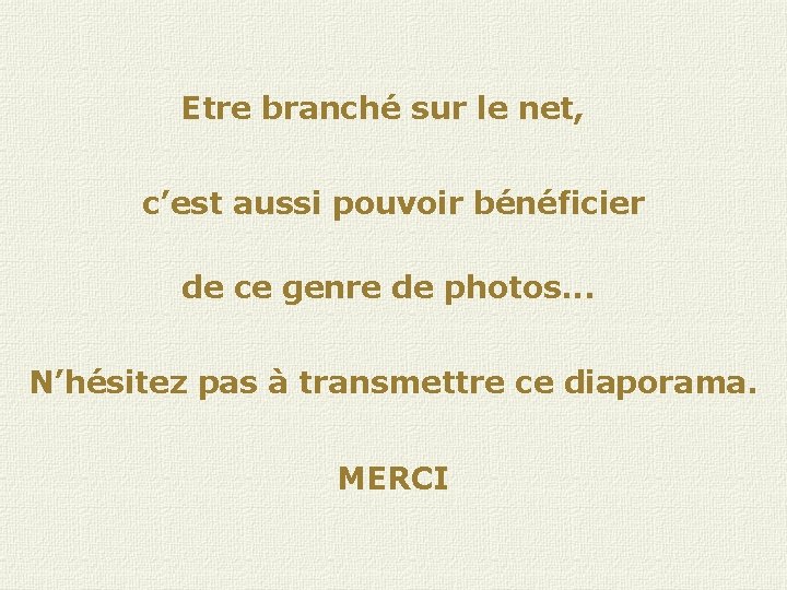 Etre branché sur le net, c’est aussi pouvoir bénéficier de ce genre de photos.