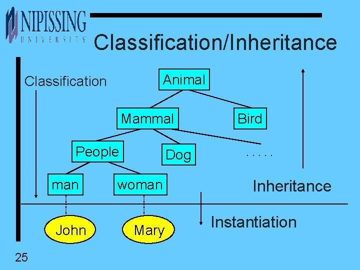Classification/Inheritance Animal Classification Mammal People man John 25 Dog woman Mary Bird. . .