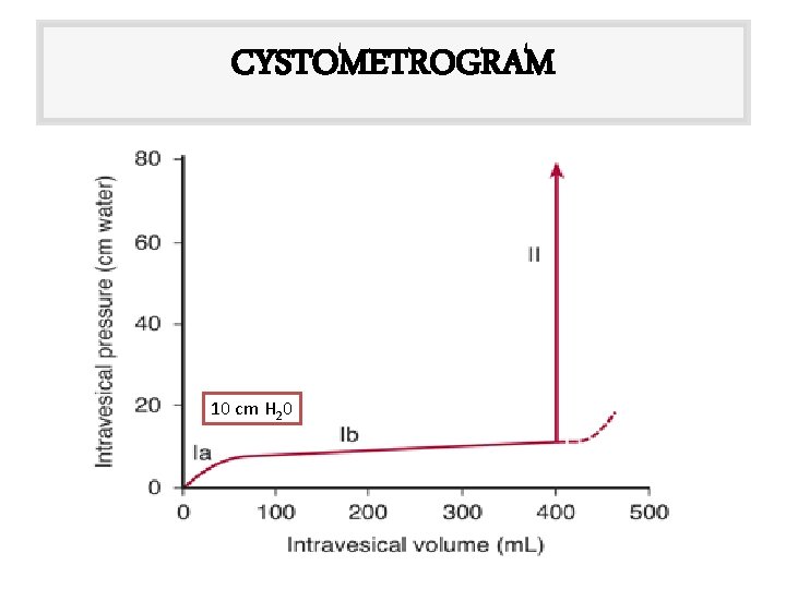 CYSTOMETROGRAM 10 cm H 20 