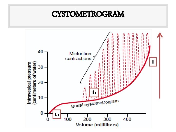 CYSTOMETROGRAM II Ib Ia 