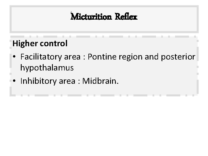 Micturition Reflex Higher control • Facilitatory area : Pontine region and posterior hypothalamus •