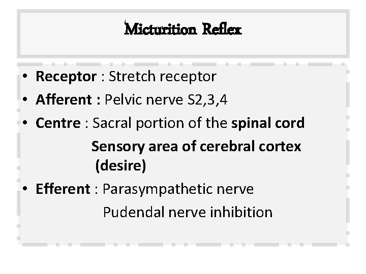 Micturition Reflex • Receptor : Stretch receptor • Afferent : Pelvic nerve S 2,