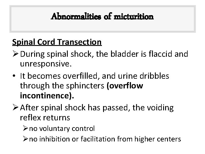 Abnormalities of micturition Spinal Cord Transection Ø During spinal shock, the bladder is flaccid