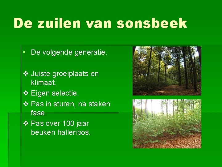 De zuilen van sonsbeek § De volgende generatie. v Juiste groeiplaats en klimaat. v