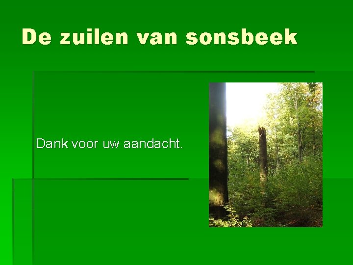 De zuilen van sonsbeek Dank voor uw aandacht. 