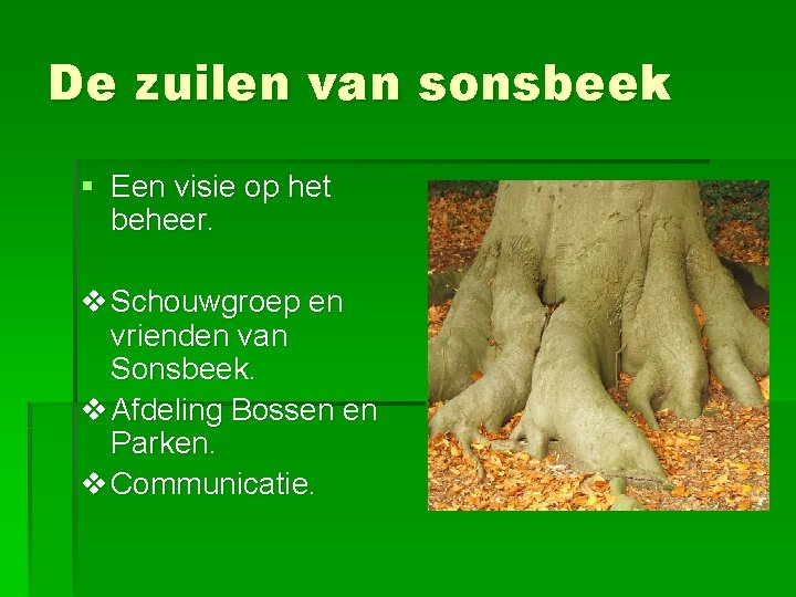 De zuilen van sonsbeek § Een visie op het beheer. v Schouwgroep en vrienden