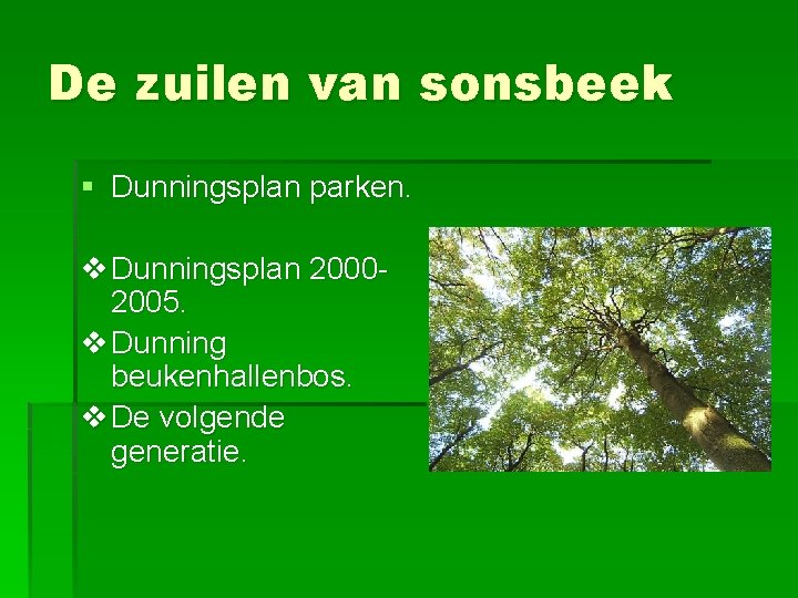 De zuilen van sonsbeek § Dunningsplan parken. v Dunningsplan 20002005. v Dunning beukenhallenbos. v