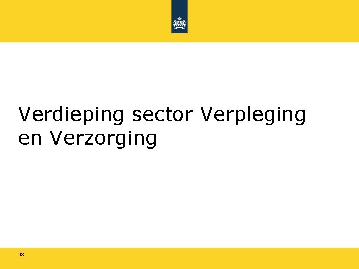 Verdieping sector Verpleging en Verzorging 13 