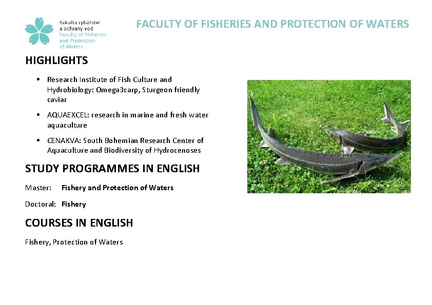 FACULTY OF FISHERIES AND PROTECTION OF WATERS HIGHLIGHTS • Research Institute of Fish Culture
