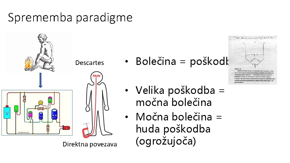 Sprememba paradigme Descartes Direktna povezava • Bolečina Teorija vrat= poškodba • Velika poškodba =