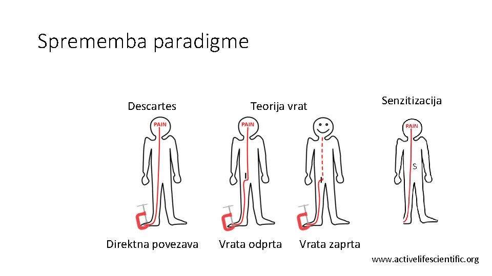 Sprememba paradigme Descartes Teorija vrat Senzitizacija S Direktna povezava Vrata odprta Vratazaprta www. activelifescientific.