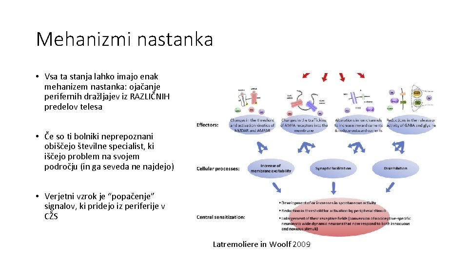 Mehanizmi nastanka • Vsa ta stanja lahko imajo enak mehanizem nastanka: ojačanje perifernih dražljajev