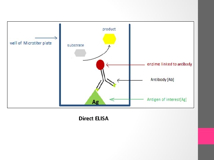 Direct ELISA 