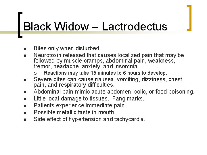 Black Widow – Lactrodectus n n Bites only when disturbed. Neurotoxin released that causes