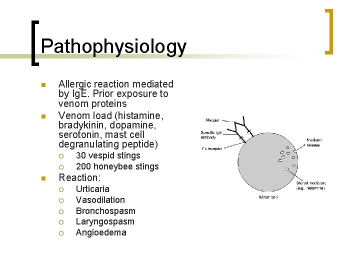 Pathophysiology n n Allergic reaction mediated by Ig. E. Prior exposure to venom proteins