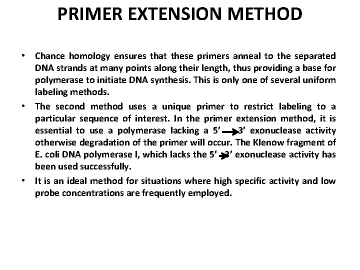 PRIMER EXTENSION METHOD • Chance homology ensures that these primers anneal to the separated