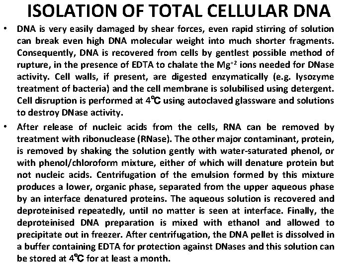 ISOLATION OF TOTAL CELLULAR DNA • DNA is very easily damaged by shear forces,