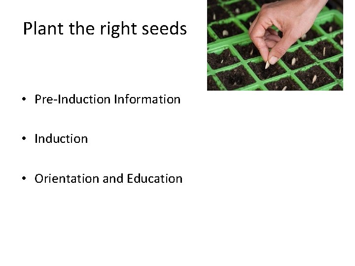 Plant the right seeds • Pre-Induction Information • Induction • Orientation and Education 