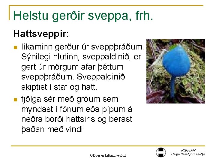 Helstu gerðir sveppa, frh. Hattsveppir: n n líkaminn gerður úr sveppþráðum. Sýnilegi hlutinn, sveppaldinið,