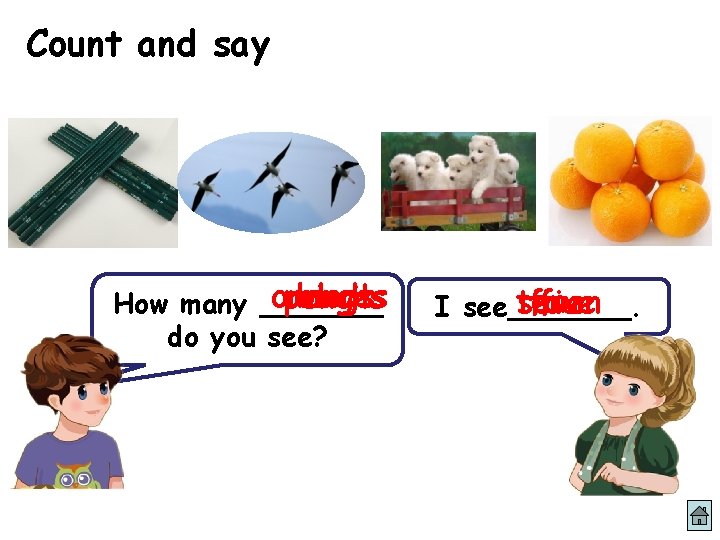 Count and say oranges birds dogs pencils How many _______ do you see? ten