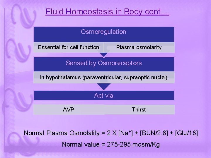 Fluid Homeostasis in Body cont… Osmoregulation Essential for cell function Plasma osmolarity Sensed by