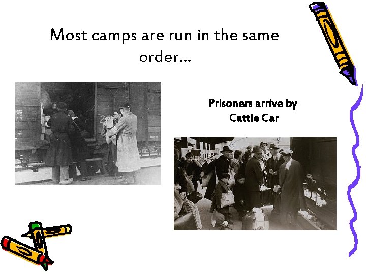 Most camps are run in the same order… Prisoners arrive by Cattle Car 