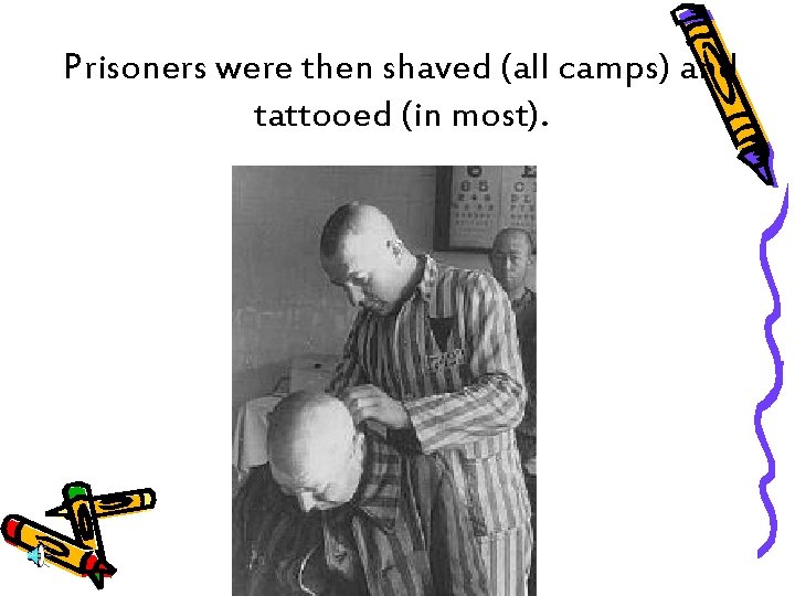 Prisoners were then shaved (all camps) and tattooed (in most). 