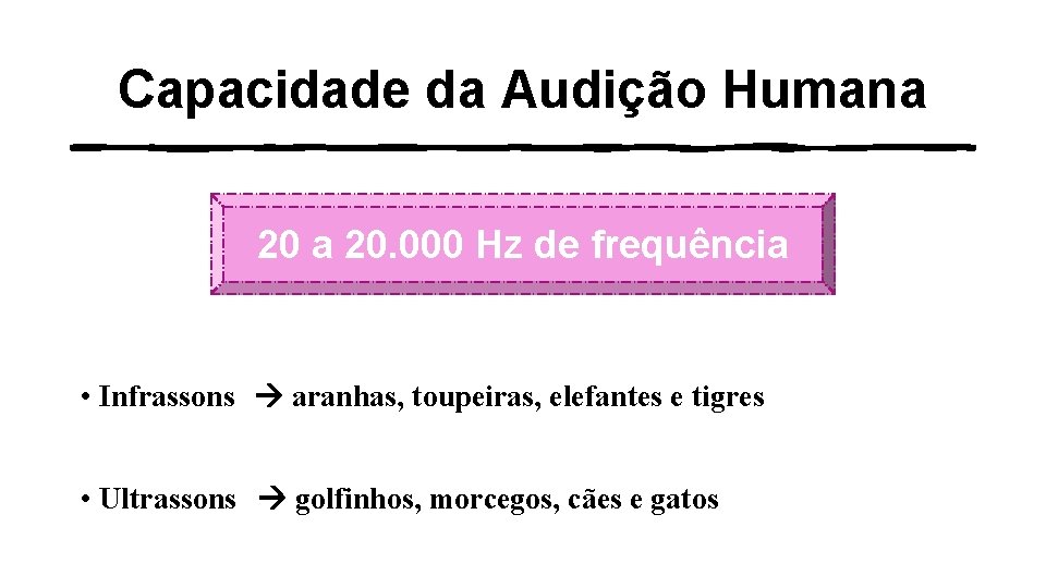 Capacidade da Audição Humana 20. 000 Hz de frequência • Infrassons aranhas, toupeiras, elefantes