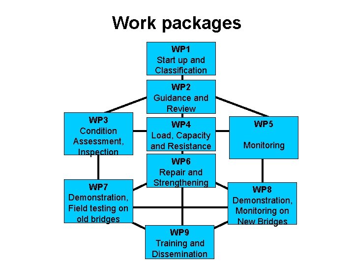 Work packages WP 1 Start up and Classification WP 2 Guidance and Review WP