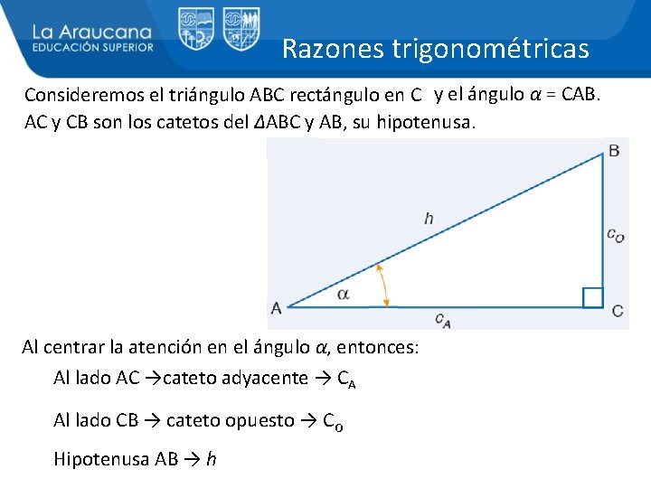 Razones trigonométricas Consideremos el triángulo ABC rectángulo en C y el ángulo α =