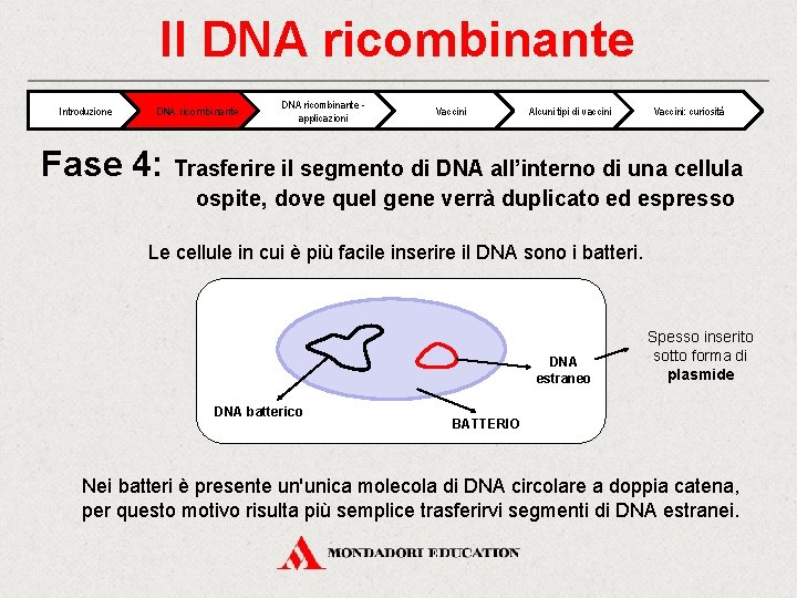 Il DNA ricombinante Introduzione DNA ricombinante applicazioni Vaccini Alcuni tipi di vaccini Vaccini: curiosità