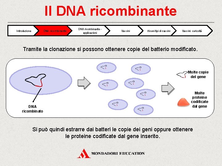 Il DNA ricombinante Introduzione DNA ricombinante applicazioni Vaccini Alcuni tipi di vaccini Vaccini: curiosità