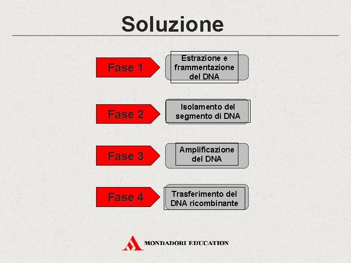 Soluzione Fase 1 Estrazione e frammentazione del DNA Fase 2 Isolamento del segmento di